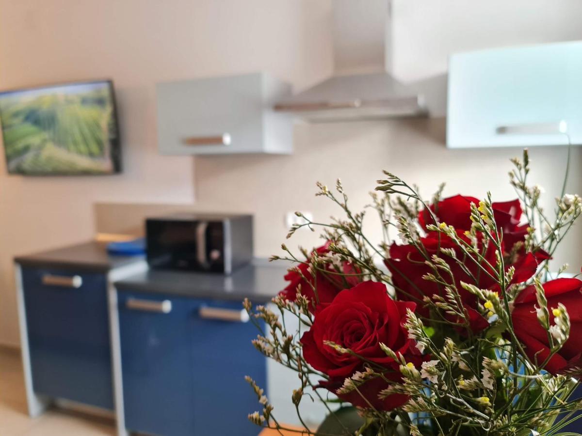 Restaurant & Getaway Pri Kobalu Apartment Vipava